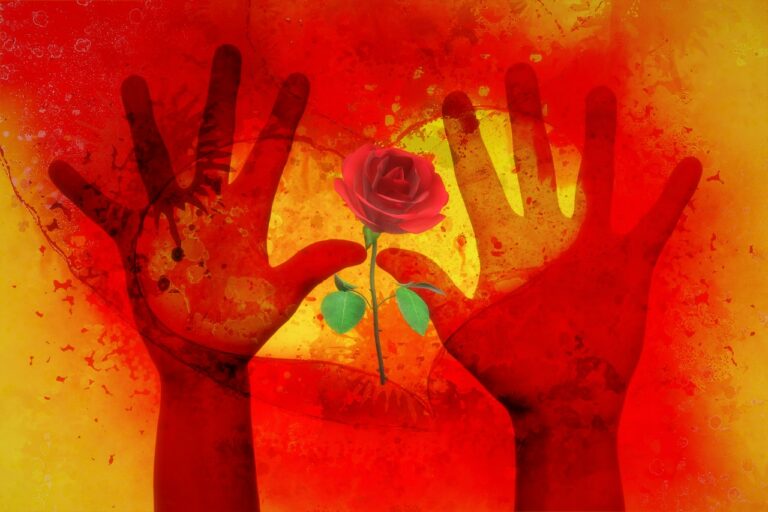 Voluntariat