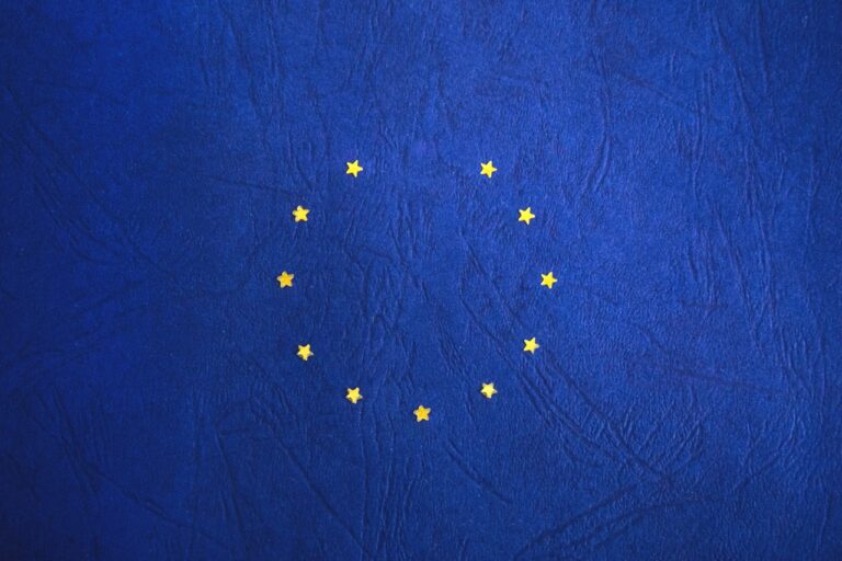 finantare-prin-fonduri-nerambursabile-europene